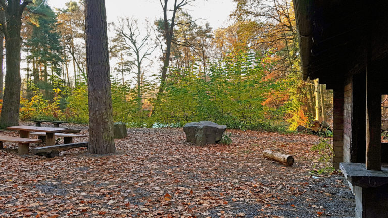 Kein Zaun mehr am Hardtweiher