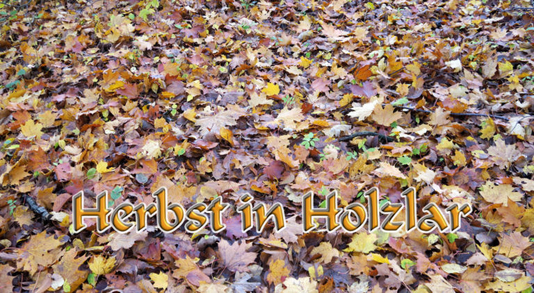 Herbst in Holzlar