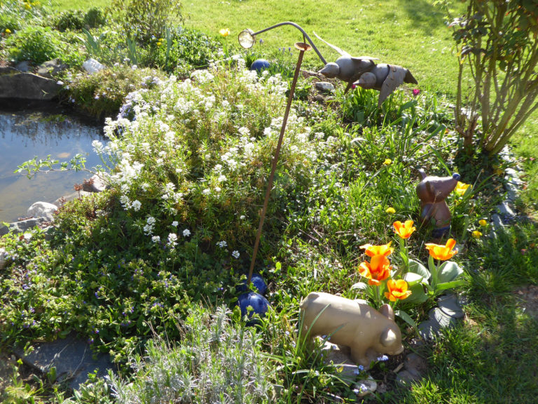 Fotogalerie – Frühling in Holzlar