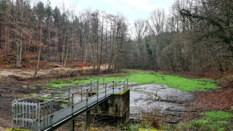 Holzlarer See – Sachstand Februar 2021