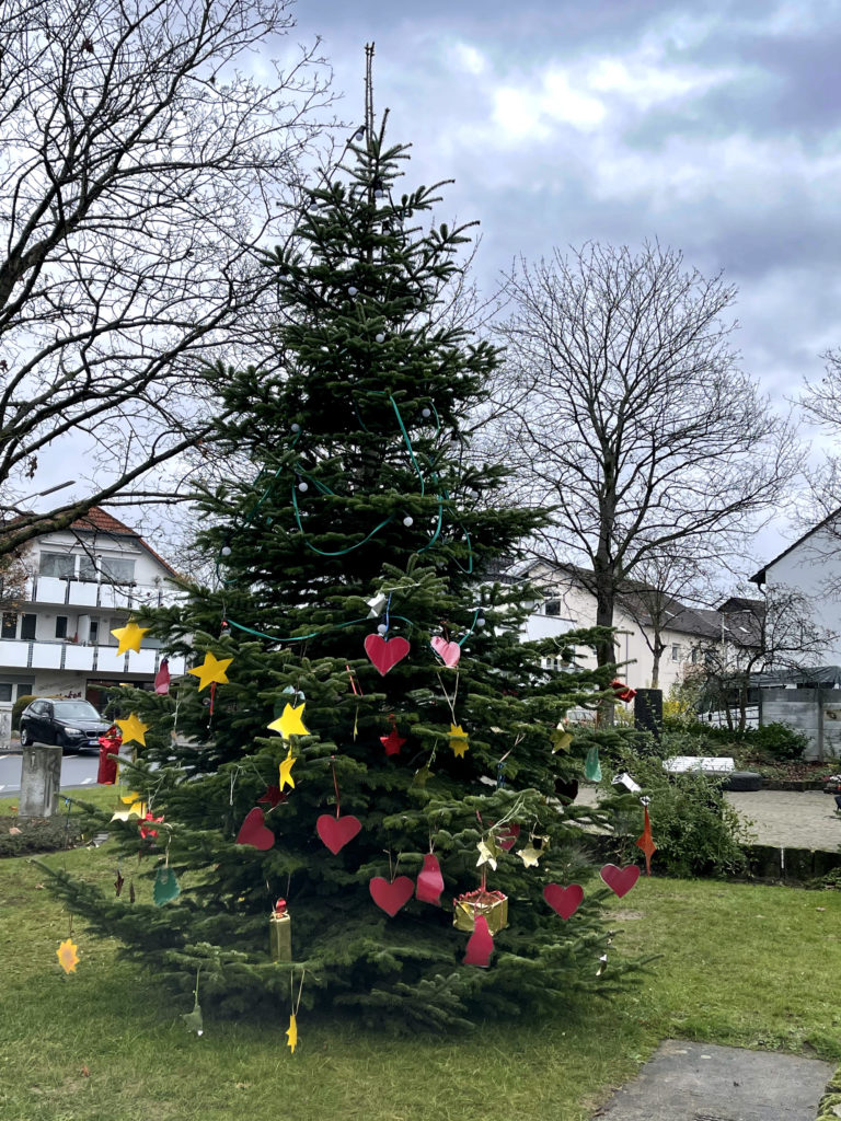 Es weihnachtet sehr – Weihnachtsbaum in Holzlar