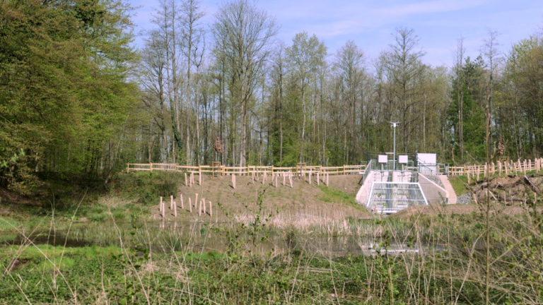 Renaturierung am Holzlarer See abgeschlossen