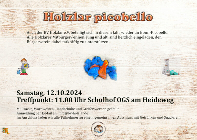 Holzlar Picobello am 12. Oktober 2024